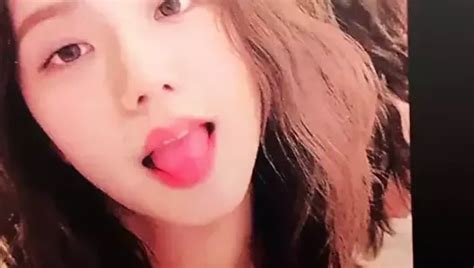 Blackpink Jisoo Cum Tribute Gay Tributes Porn C Xhamster