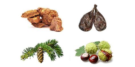 ВАРИОЛЬ от варикоза. ЦЕНА крема, отзывы, где купить в Эстонии?