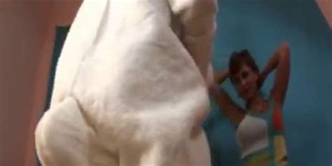 Big Tits Eurobabe Veronika Vanoza Fucks Bunny Coral Tnaflix