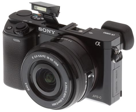 Sony A6000 Review - Field Test Part III