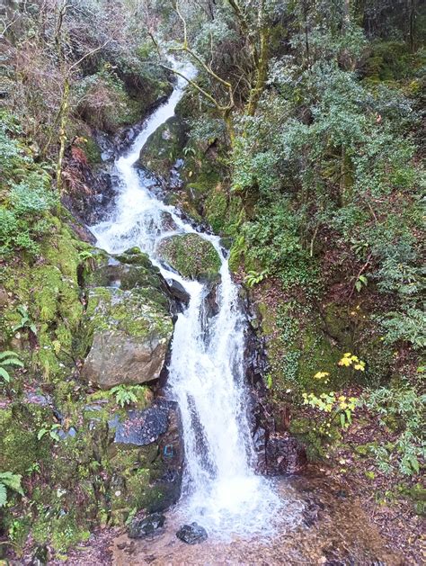 Ruta Por Las Cascadas De Aguaque Y Molino Amigos Vitoria