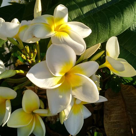 Cómo hacer una maleta rápida, ligera y práctica – EkanaShop