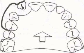 Этапы изготовления змеевидной пружины