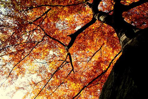 Melig Art And Photography Autumn In Berlin 2011