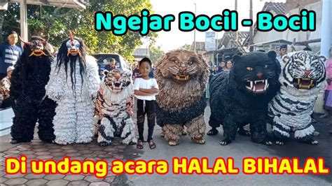 Can Macanan Singo Raung Cilik Di Undang Acara Halal Bihalal YouTube