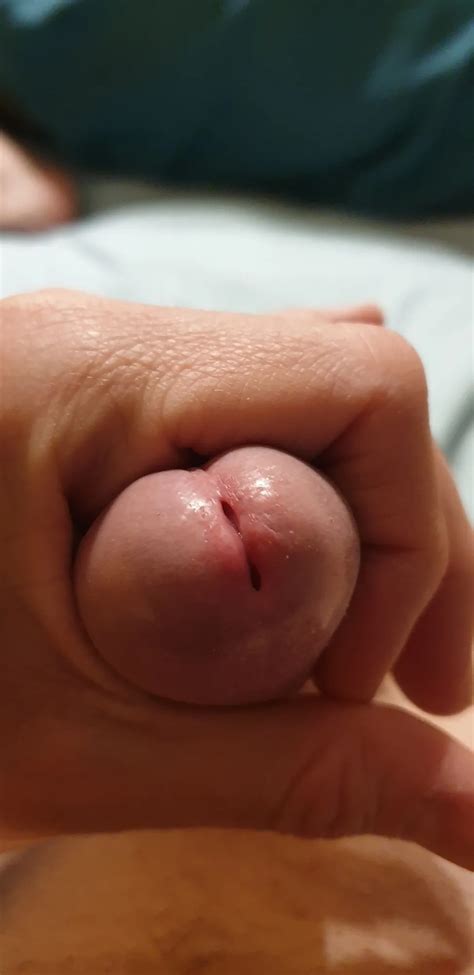 Edging My Horny Aroused Cock Pre Solo 283 Phone Photos 29 Nude Pics XHamster