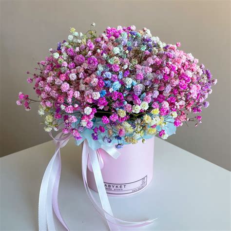 Цветы гипо - 89 фото