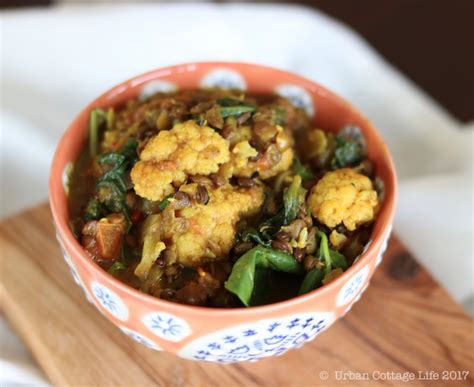 Lentil Cauliflower Curry - Urban Cottage Life