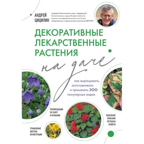 Декоративные лекарственные растения на даче, Андрей Цицилин | Доставка ...