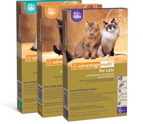 Аптечка для кошки: грамотная комплектация