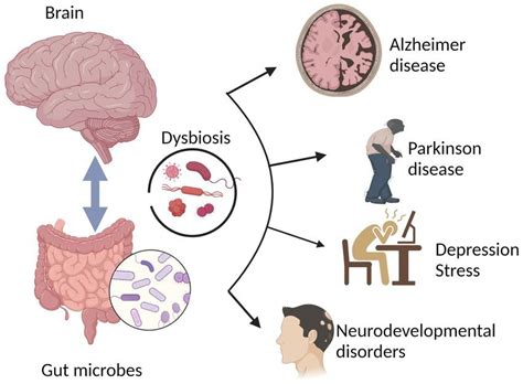Brenda Lee Herrod Aprn On Linkedin All Disease Begins In The Gut