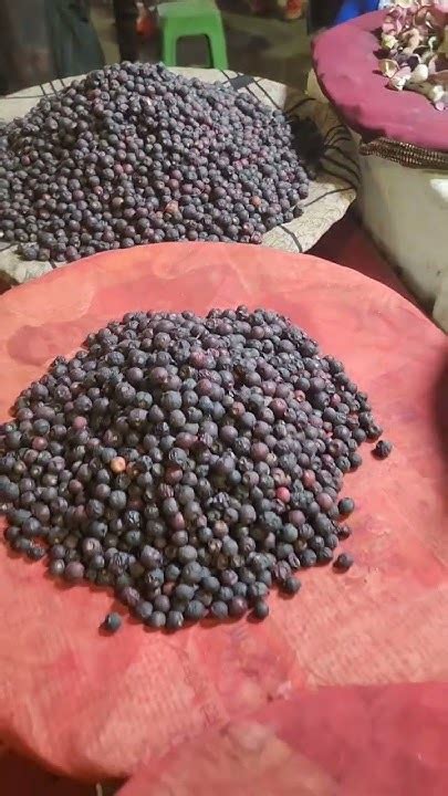 #японскаяслива #джамун #здоровье #пп #фитнес #indiyevgi #Индия #виндии ...