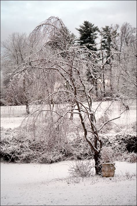First Snowfall Photography Images And Cameras