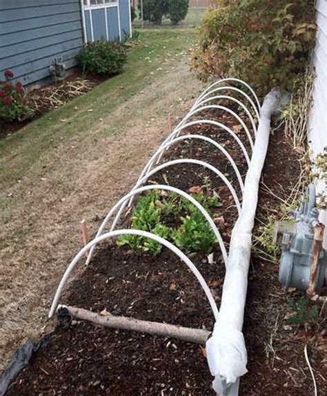 Protective Hoop House Cheap Step Garden Project Diy Projects For