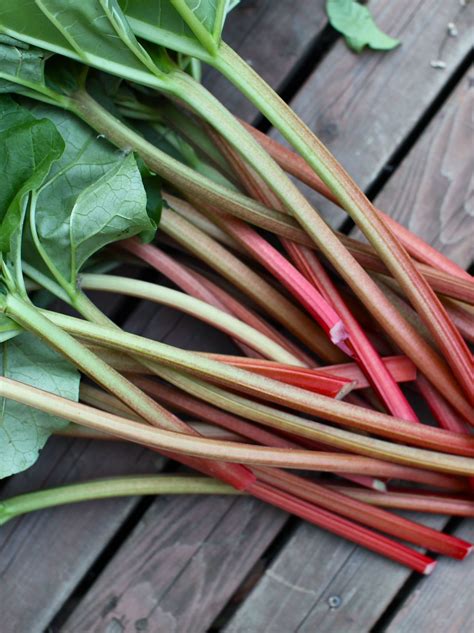 Hem Zaden Голландия - Ревень Виктория - Купить семена, товары для сада ...