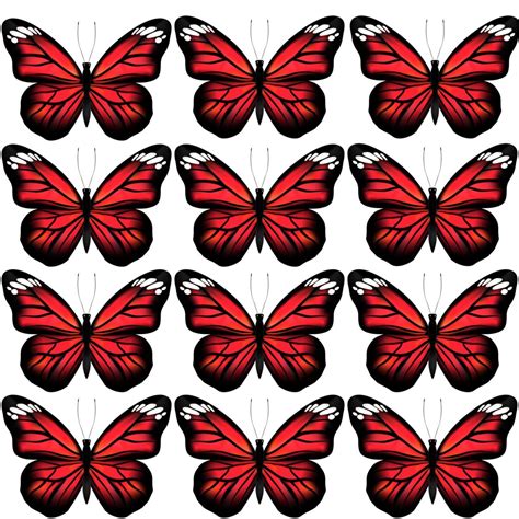 Motyle en 2023 | Mariposas para imprimir, Plantilla de mariposa ...