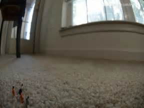 Amateur Soles Giantess And Footjobs Late Night Office Soles Half Asian Milf MOV