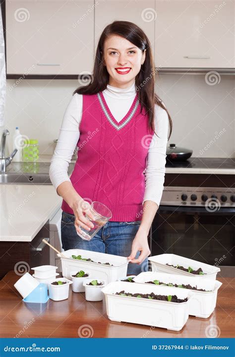 Smiling Brunette Gardener Watering Sprouts Stock Photo Image Of Domestic Person