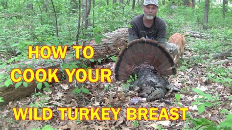 Cooking Wild Turkey Breasts Youtube