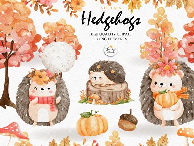 Autumn hedgehog by Chonnieartwork on Dribbble