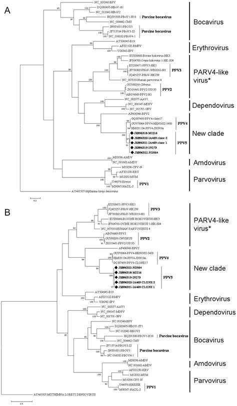 The Phylogenetic Trees Were Constructed By Using The Maximum Likelihood