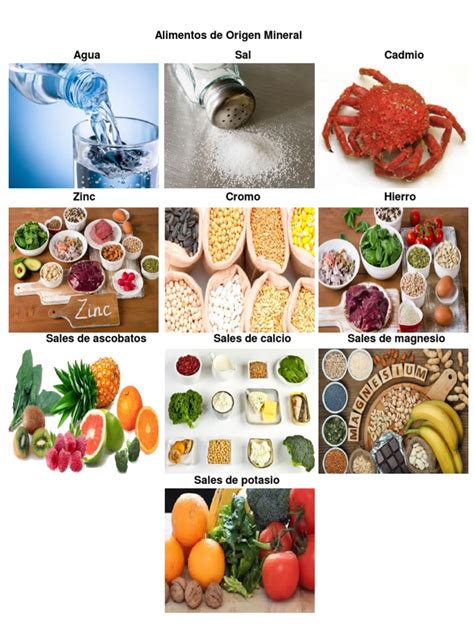 Origem Mineral Alimentos - Alimentos de Origen Mineral | PDF | Comida y bebida | Cocina