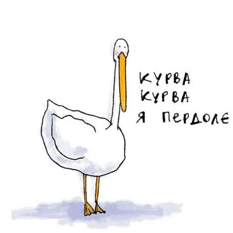 Набор стикеров для Telegram «Гусь» | Смешные мемы, Смешные открытки ...