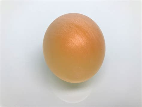 Egg In Vinegar Experiment Diy For Beginners Kiwico