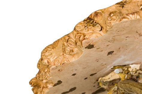 Rustic Petrified Wood And Deer Antler End Side Table