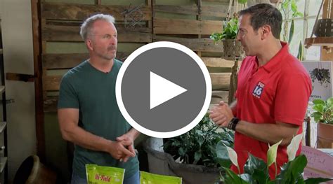 Getting To Know Your Soil For The Perfect Growing Environment Good