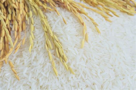 TM Thai Rice Co.,ltd. | rice