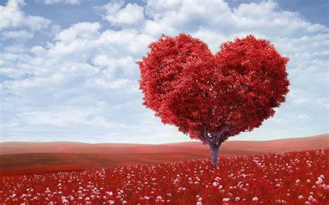 Love Wallpaper Desktop Love Motions Wallpaper 545
