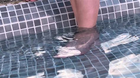 Katerina Hartlova Poolside Pussy Play And Dildo