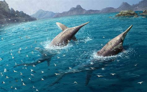 Paleontologists Unearth What May Be The Largest Known Marine Reptile