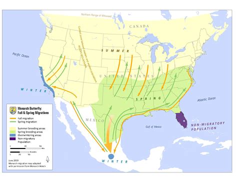 Monarch butterfly migration map | FWS.gov