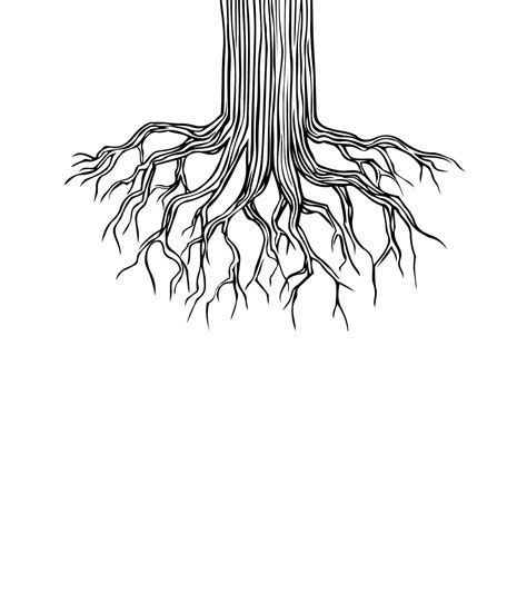 drawing  tree  roots drawing word searches