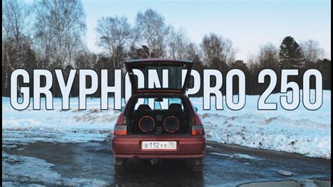 ОБЗОР БЮДЖЕТНЫХ ПАНЧ МАШИН | DL AUDIO GRYPHON PRO 250 - YouTube