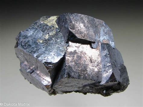 galena net worth