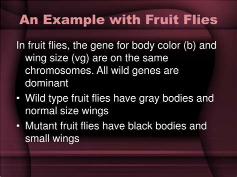 Ppt Chromosomal Basis Of Inheritance Linked Genes Sex Linked Genes Powerpoint Presentation