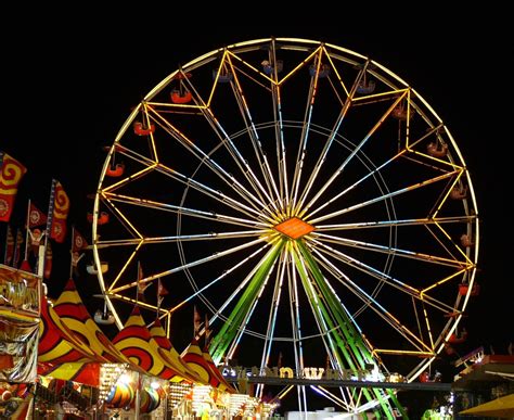 fair rides  night   photo  freeimages