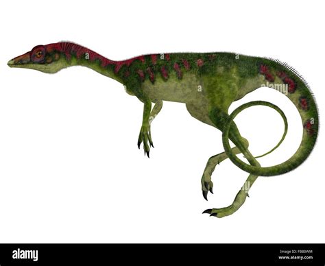 Compsognathus Hi Res Stock Photography And Images Alamy