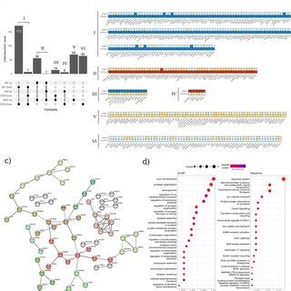 Significant Sex Impacted Genes Detected In CT A Upset Plot Of The