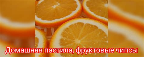 Фрипсы Пастила Кострома | Всем здравия! 2025 | ВКонтакте