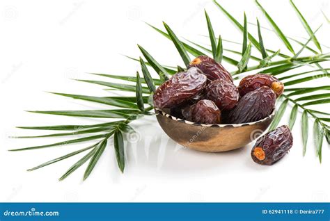 Финик пальчатый (много фото) - treepics.ru
