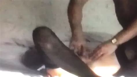 Lizard Porn Videos Xhamster