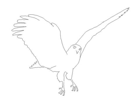 Bald Eagle Flying Drawing Cad File