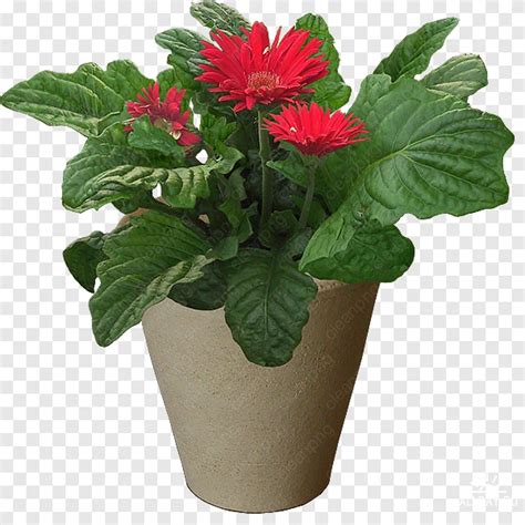 ide  gambar bunga  pot