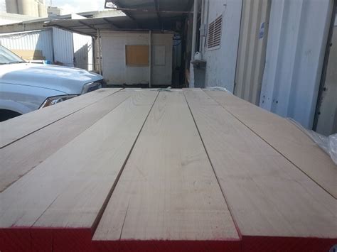 Beech wood uses and properties - Mijatovic Ltd wood supplier