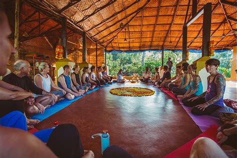 Day Kambo Yoga Breathwork Retreat In Goa India Bookretreats