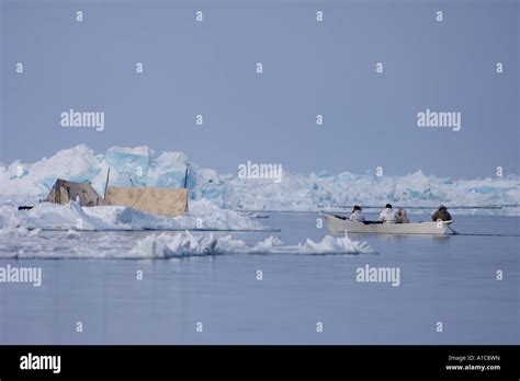 Indigenous Whale Hunting Hi Res Stock Photography And Images Alamy